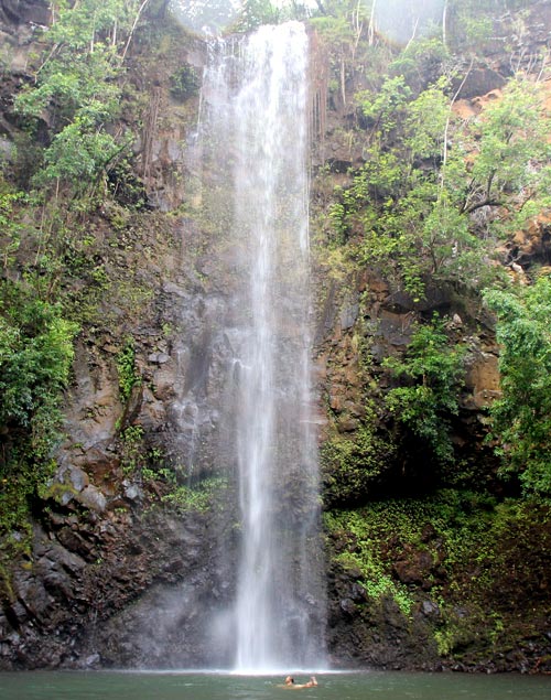 Wailua kayak and hike to Secret Falls