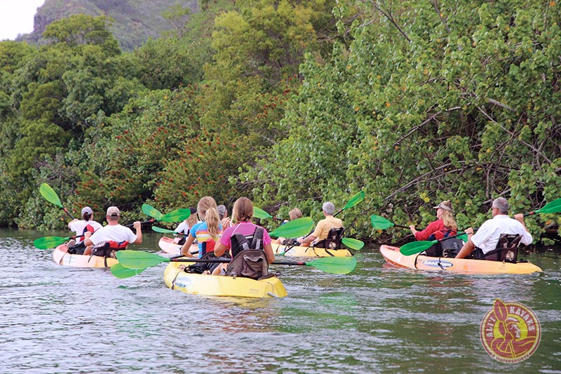 Ali'i Kayaks guided tour in Wailua River