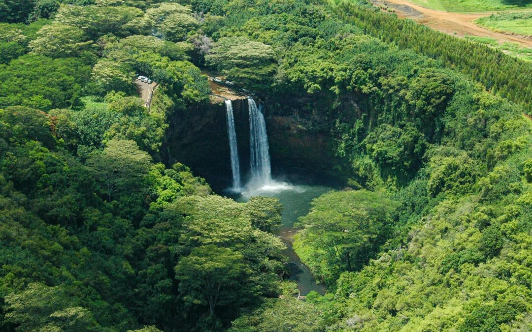 secret-falls-kauai-from-above
