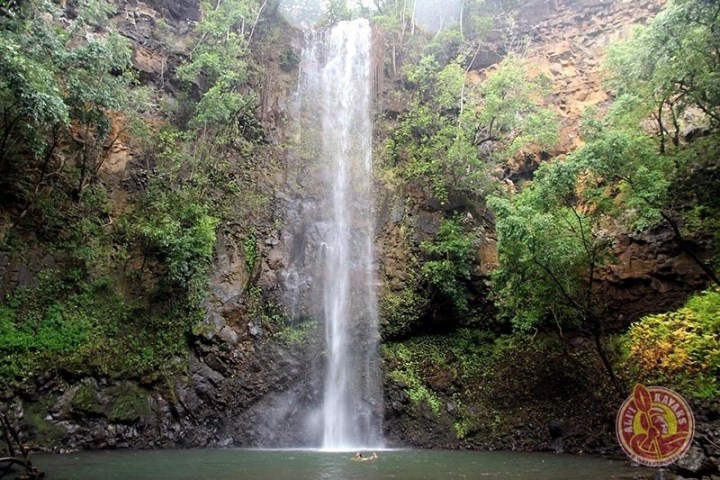 a large waterfall in a forest
