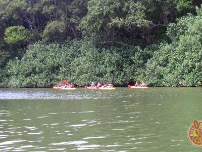 kayaks in Wailua River