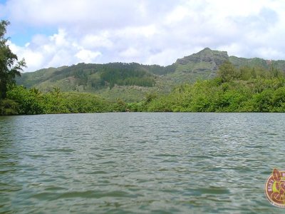 a large body of water