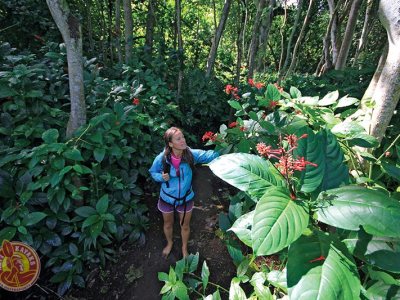 a person holding a plant in a garden