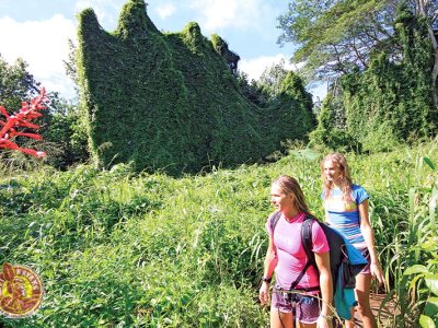 a woman standing next to a tree on hike to Secret Falls