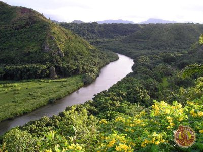 a close up of a hillside next to a body of water