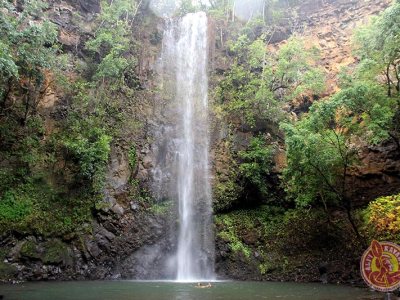 Secret Falls in a forest