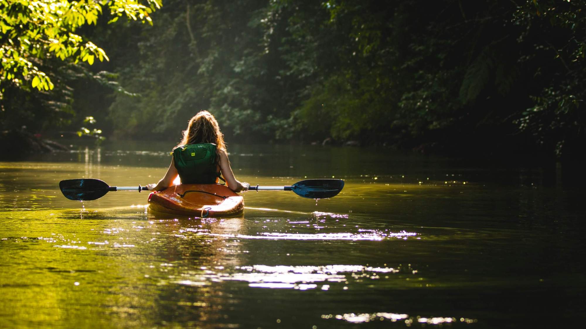 filip-mroz-zK049OFP4uI-unsplash (1) a person kayaking through calm clear water with green trees hanging over