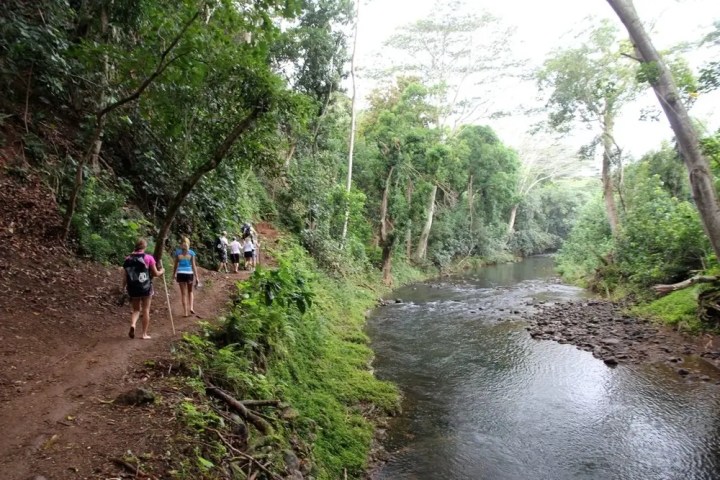People hiking on a forest trail next to a calm river.