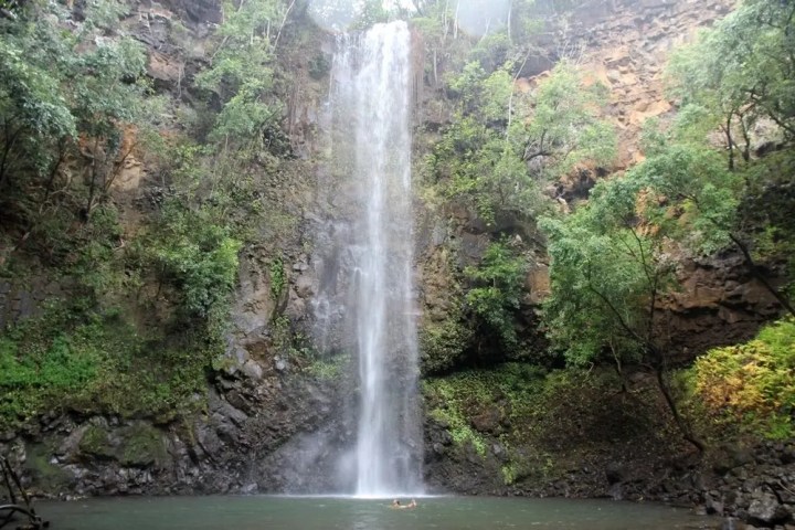 Tall waterfall cascading down a rocky cliff into a pool, surrounded by lush greenery.